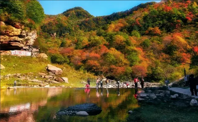 10/22 The autumn in the mountain city surprised me a bit