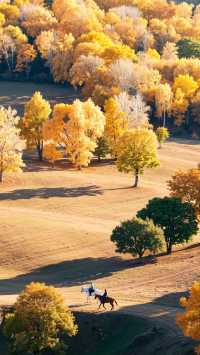 秘境秋色,賽罕烏拉遊攻略