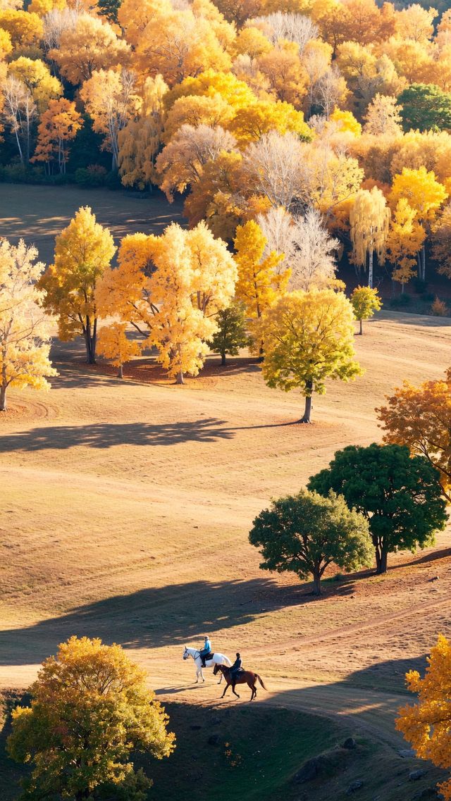 秘境秋色,賽罕烏拉遊攻略 秘境秋色,賽罕烏拉遊攻略