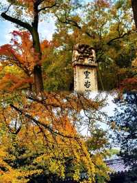 南京賞秋,千萬不要錯過這個小眾寺廟!