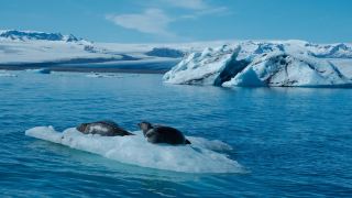 How to get a heart-shaped big ice chunk in Iceland? 