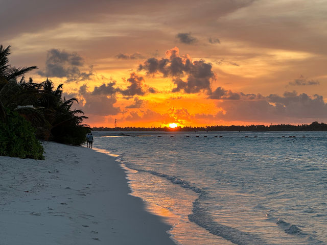 Perfectly Blissful Stay Perfectly Blissful Stay