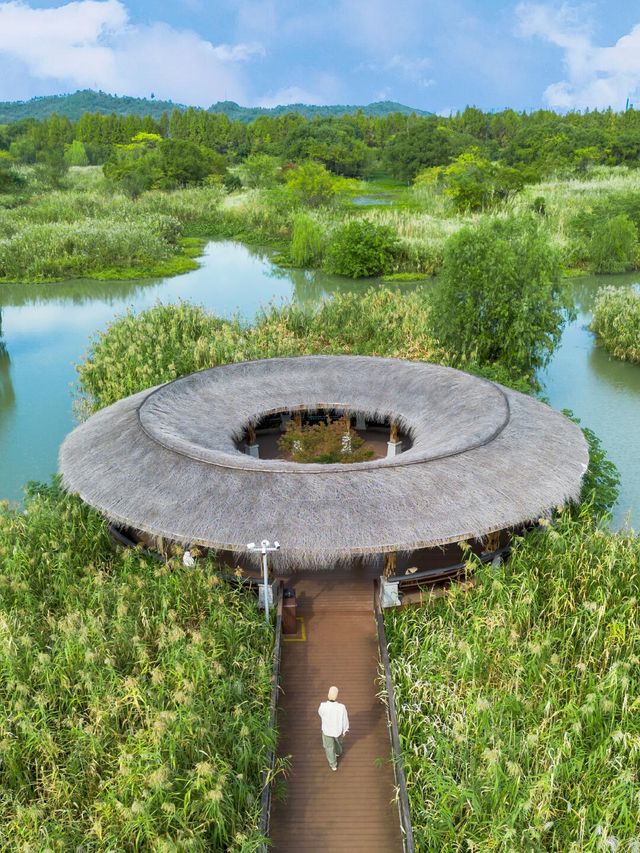 11月的下渚湖，是秋天最治癒的打開方式！