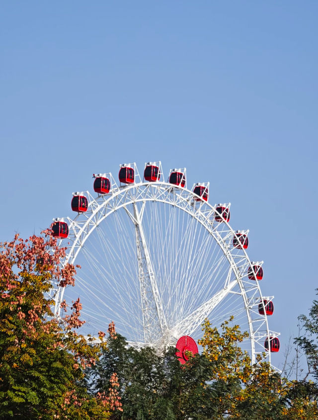 瀋陽世博園秋日漫遊｜治癒系吸氧之旅