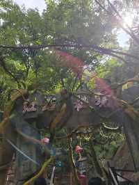 踏青何必遠行？畫眉谷仙境治癒你的春天