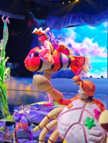 深圳海底世界必打卡~小梅沙海洋館