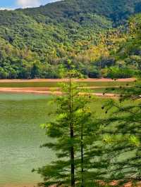 紹興秋日限定：20min高鐵直達，銀杏古寺醉江南