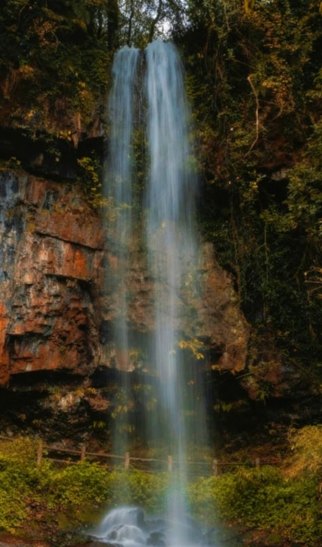 成都周邊2.5h，秋日童話限時返場！