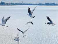 把秋假還給自然!這裡的秋冬沒有圍牆~