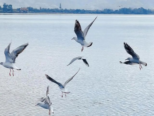把秋假還給自然!這裡的秋冬沒有圍牆~ 把秋假還給自然!這裡的秋冬沒有圍牆~