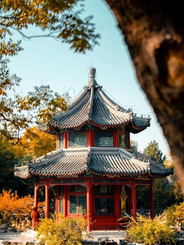 古蓮花池盡展中式風骨 古蓮花池盡展中式風骨