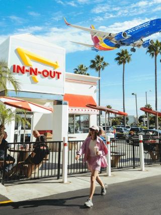 🌄산림 사이로 빛과 그림자가 춤추고