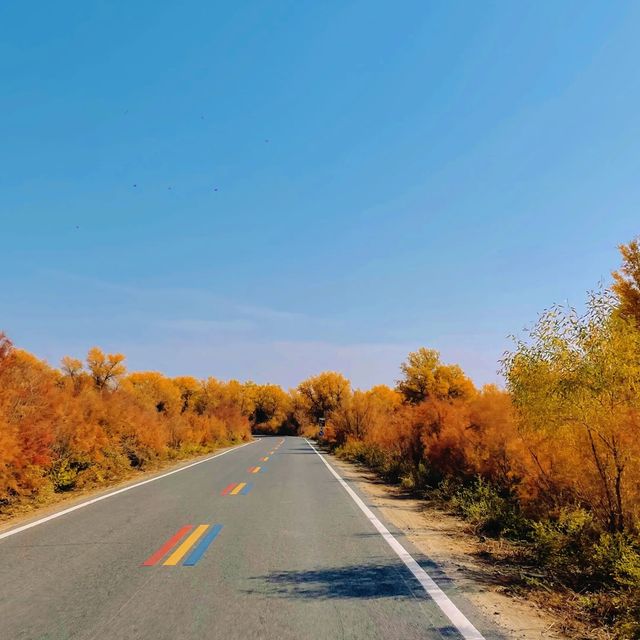 新疆胡楊林公園景區3天2夜5000元旅遊攻略