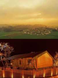 油菜花海中的野奢帳篷