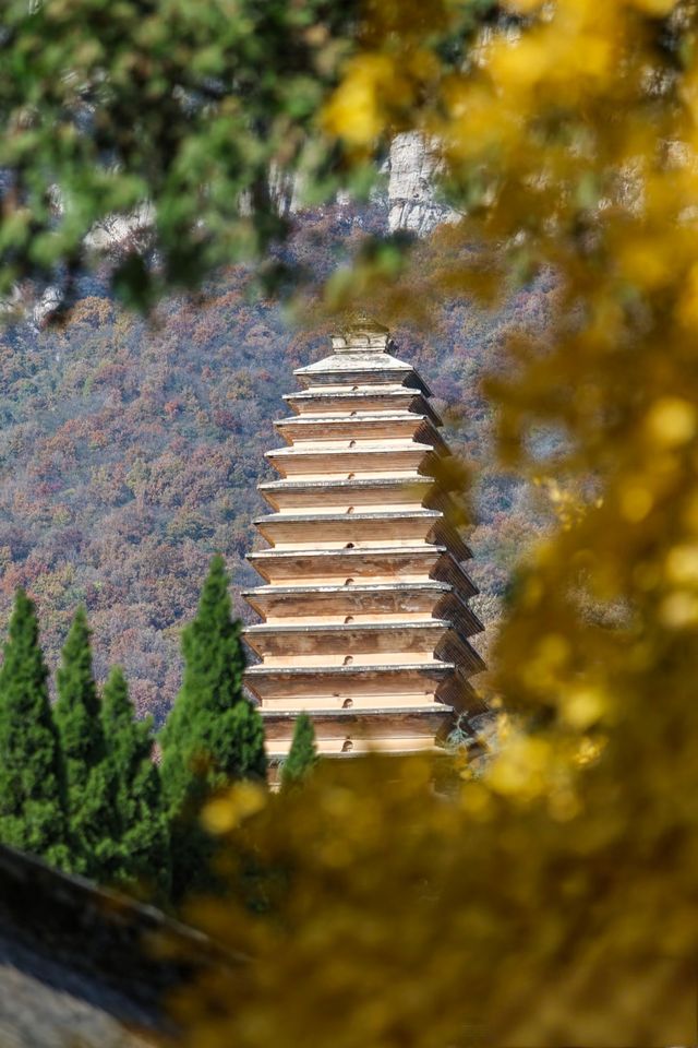 嵩山攻略：功夫迷和懶人的完美相遇 