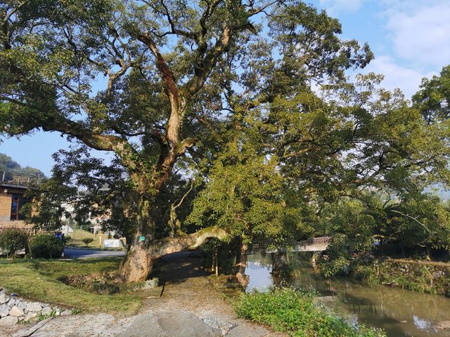 從深圳出發，三天自駕湖南郴州韶關