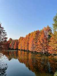 南京5年打工人的超濃縮攻略本地人帶你玩轉六朝古都