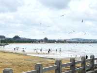 蓬萊-讓我們一起做個快樂的神仙