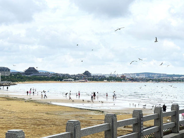 蓬萊-讓我們一起做個快樂的神仙 蓬萊-讓我們一起做個快樂的神仙