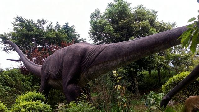 自貢怎麼玩?這份「鹹鹹的」攻略帶你逛吃「龍宮」和燈海! 自貢怎麼玩?這份「鹹鹹的」攻略帶你逛吃「龍宮」和燈海!