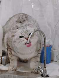 西塘原築實測｜早晚雙景封神！ins風拍爆+團建家庭全拿捏