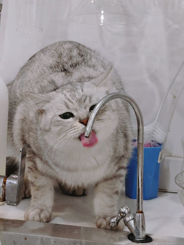 西塘原築實測｜早晚雙景封神！ins風拍爆+團建家庭全拿捏