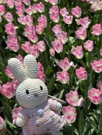 鹽城新秘境｜荷蘭花海：穿越歐式童話的浪漫風暴