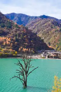 【天母湖】被秋天染成油畫的神仙秘境！