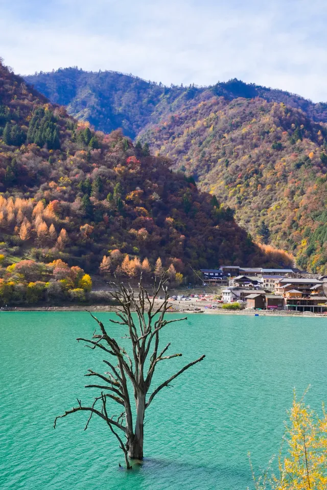 【天母湖】被秋天染成油畫的神仙秘境！