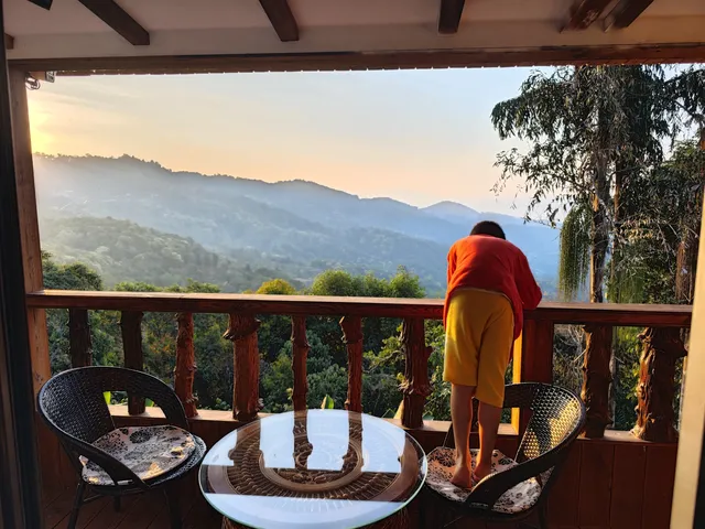 春節版納普洱行 春節版納普洱行