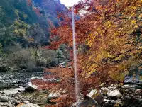 2025年11月16日廣元唐家河