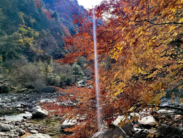 2025年11月16日廣元唐家河