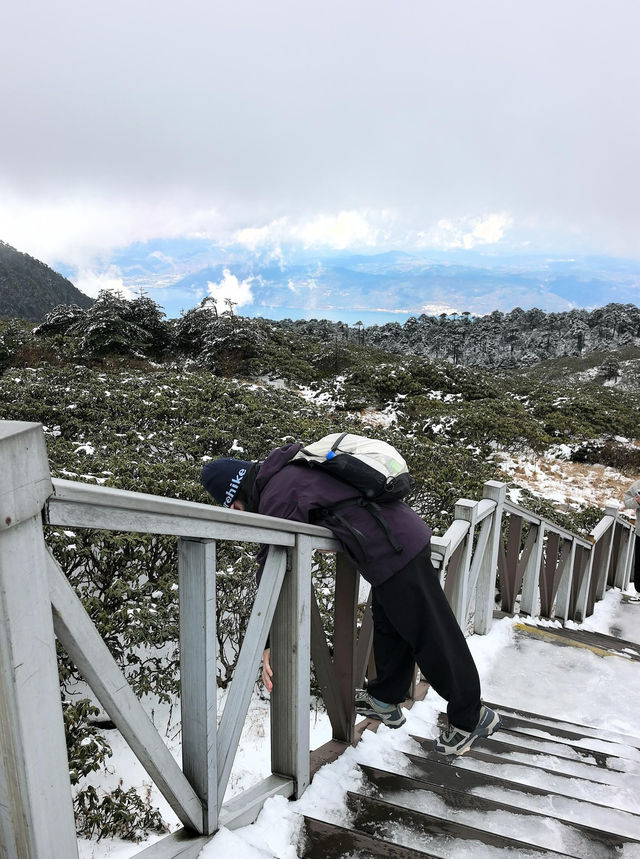 大理蒼山·11.21初雪驚喜攻略·冰雪浪漫速遞  臨時起意·搶佔雪景C位 11.21的蒼山，