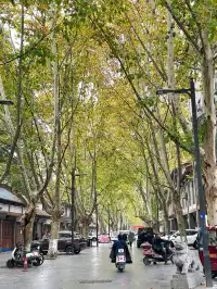 漢台街的，秋意梧桐眼