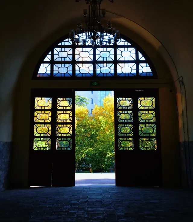 南京鼓樓公園銀杏｜紅牆光影+古今同框