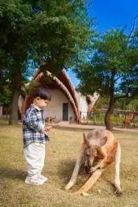 2h直達上海周邊遛娃聖地南通野生動物