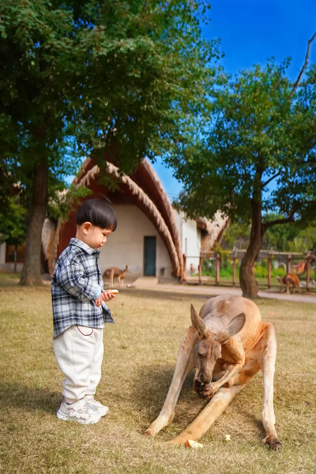 2h直達上海周邊遛娃聖地南通野生動物