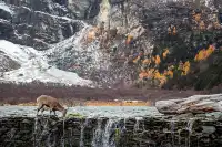 住進4000米的亞丁村,推窗見神山!