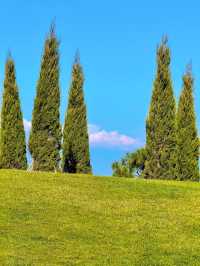 11.26實況!大理最美雪山機位被我找到啦