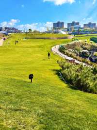 11.26實況!大理最美雪山機位被我找到啦