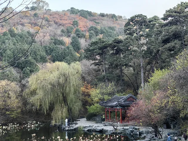 逛香山不費腿攻略。 逛香山不費腿攻略。