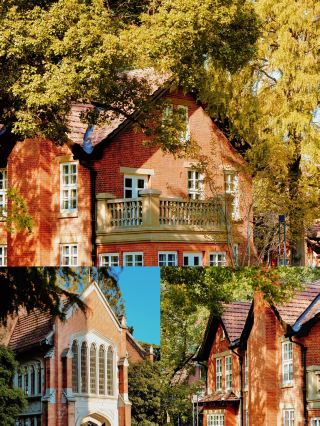 Shanghai Autumn Secret! Century-old Campus Citywalk, Snap Vintage Movie Vibes Anytime