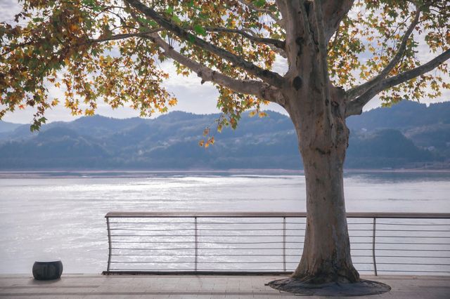 宜昌濱江:在長江岸線,邂逅老工業與深秋的詩意共鳴 宜昌濱江:在長江岸線,邂逅老工業與深秋的詩意共鳴