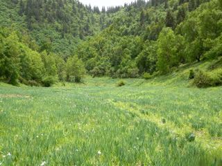 青藏門戶，另類玩法！海東3天2夜這麼玩才夠味