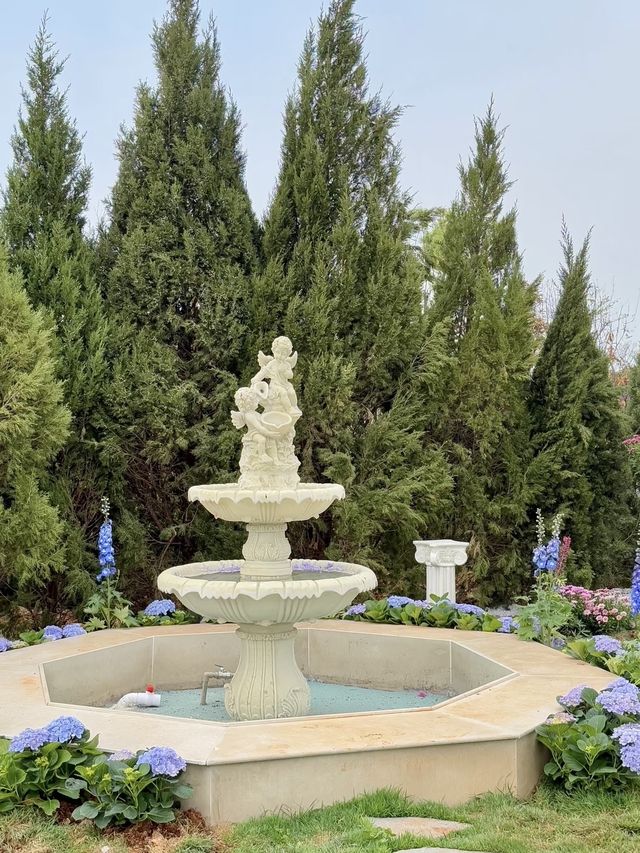 1903的絕美打卡地 1903的絕美打卡地