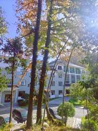 呀，這是什麼地方，這麼美！