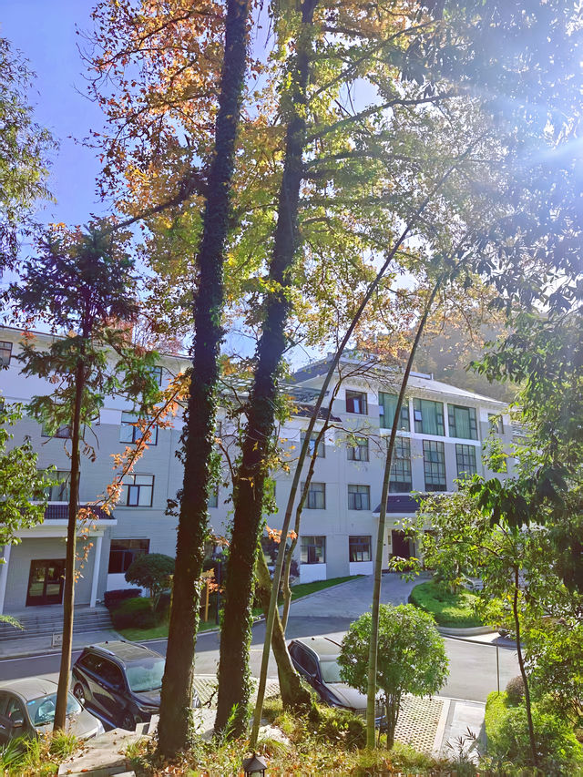 呀，這是什麼地方，這麼美！