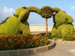 さあ、黒河へ行こう！中ロ国境の小さな町で、「一歩で二国をまたぐ」不思議な旅を体験しよう