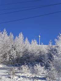 各位驢友，快來交換你們的樺皮嶺雪景圖|||樺皮嶺的