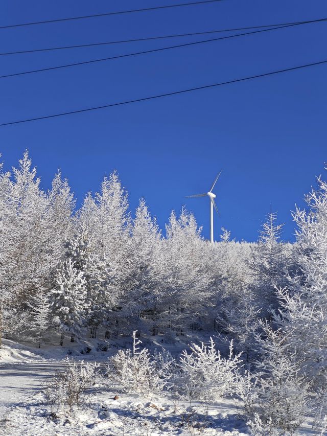 各位驢友，快來交換你們的樺皮嶺雪景圖|||樺皮嶺的